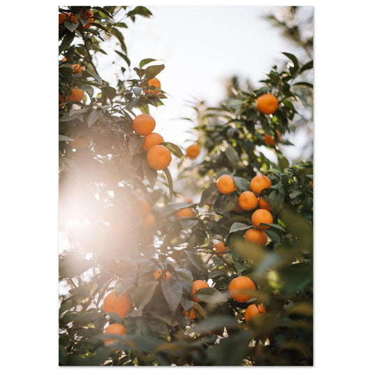 2d7955e1-a0ea-477d-83d1-ce2c12e35378