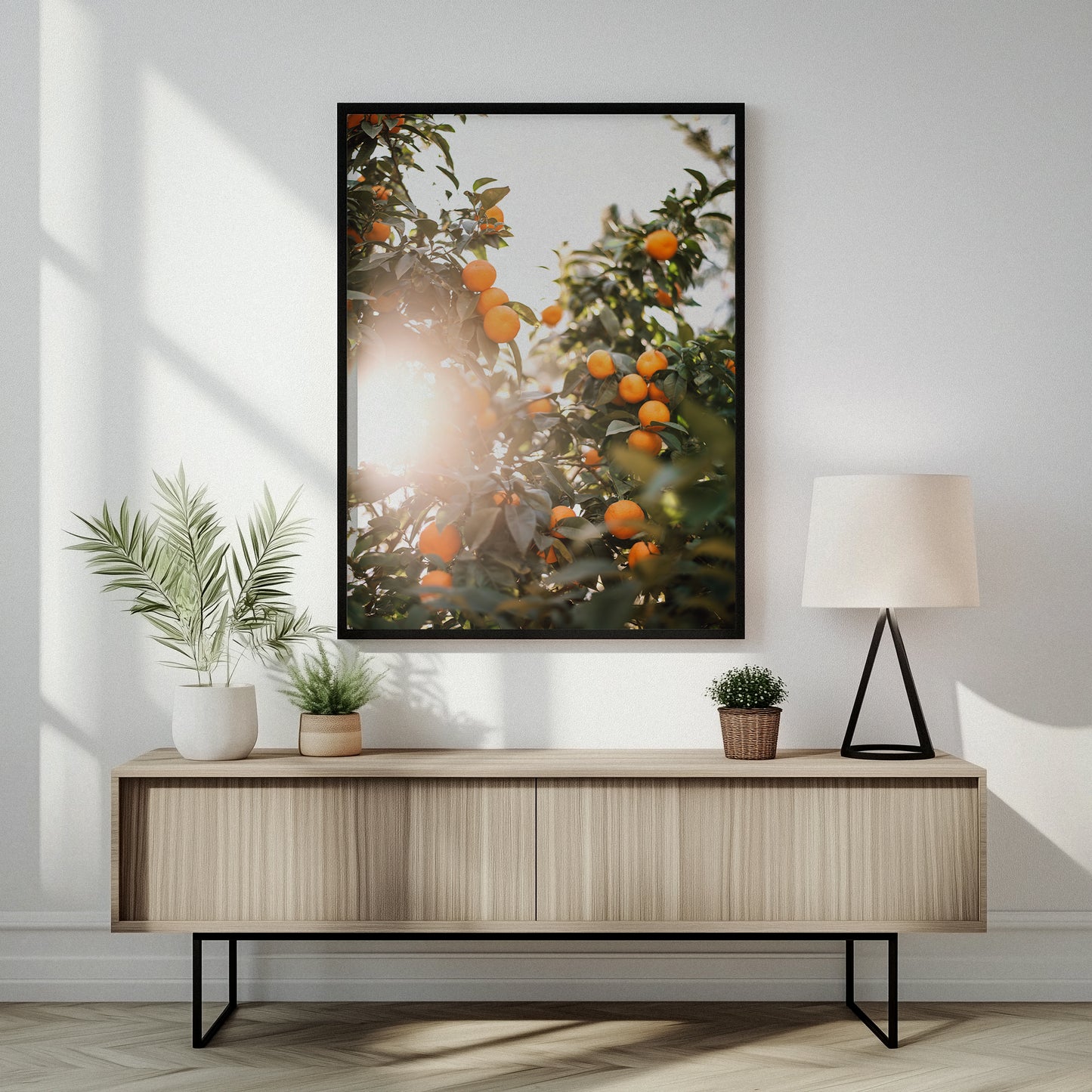 Valencian Oranges