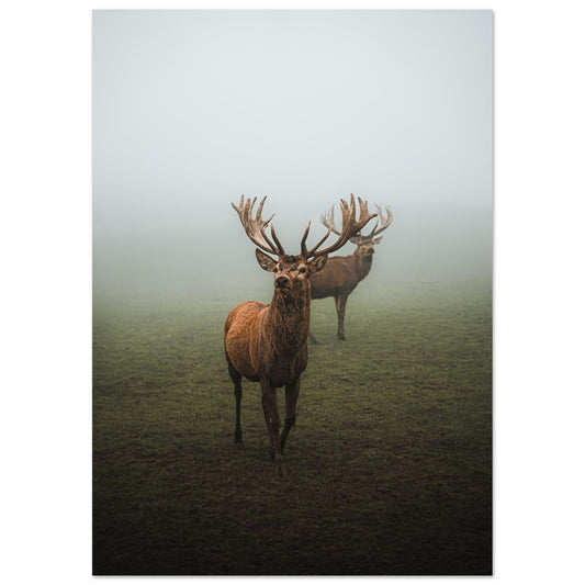 cae3c404-88cb-4b01-89c7-d20cdfe91662