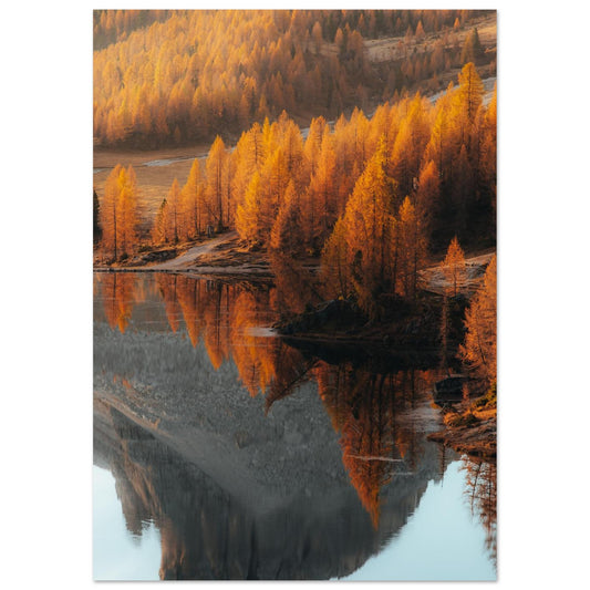 cc0f9aff-490b-4b72-b7f3-449441438a12