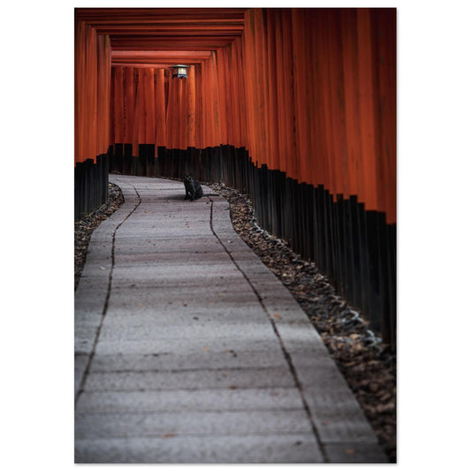 d68fc876-d0d8-412b-8b12-a15aa6937e1f