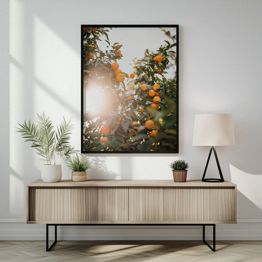 Valencian Oranges