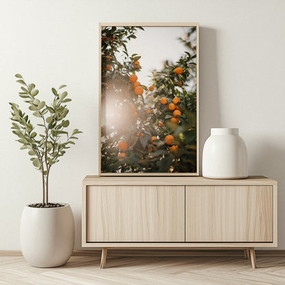 Valencian Oranges